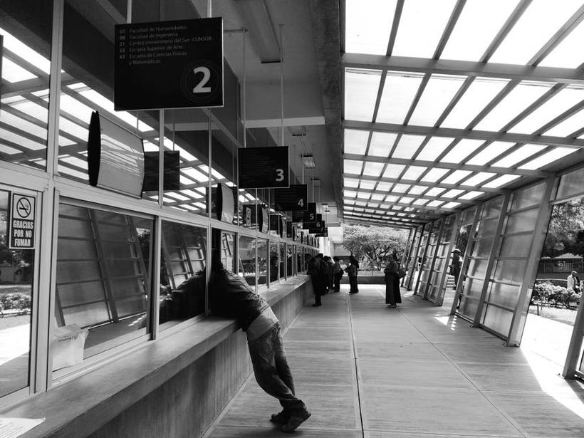 Înregistrarea la AJOFM pas cu pas: termene, programare, viza lunară
